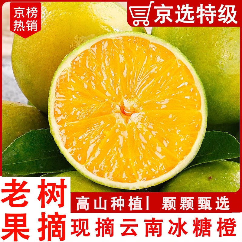 闽域寻鲜正宗云南冰糖橙【多地次日达】新鲜整箱果冻应季橙水果冰糖橙子 5斤活动款 | 单果55-60mm（净重4.5斤） 【自家果园种植】