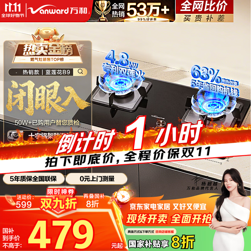 万和（Vanward）【蓝莲花B9】液化气燃气灶4.8kW猛火烟灶联动家电以旧换新国家补贴20%嵌入家用煤气双炉具台B9L50