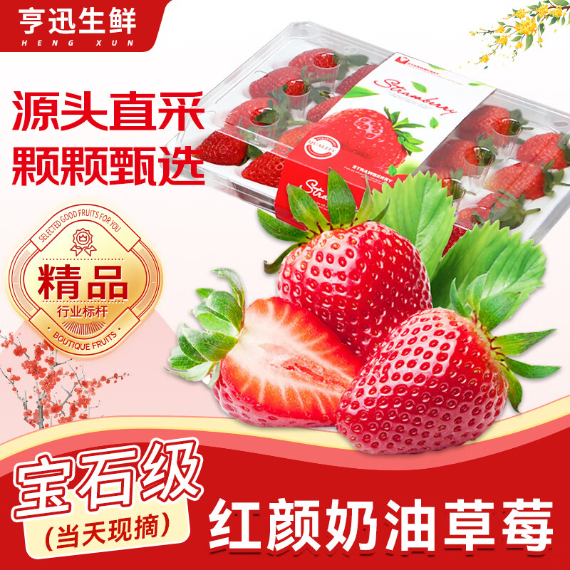 亨迅草莓大凉山99红颜奶油草莓非丹东草莓甜孕妇现摘新鲜时令水果生鲜 1盒装丨【尝鲜试吃】净重300g