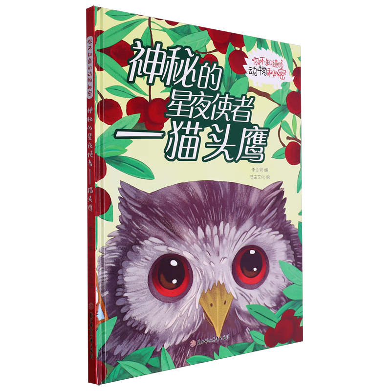 【新华书店】神秘的星夜使者:猫头鹰 正版包邮