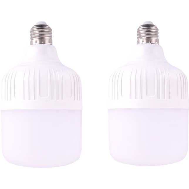 led E27ݿ 20W׹ݵ  2ֻװ 1Ԫ(ȯ)