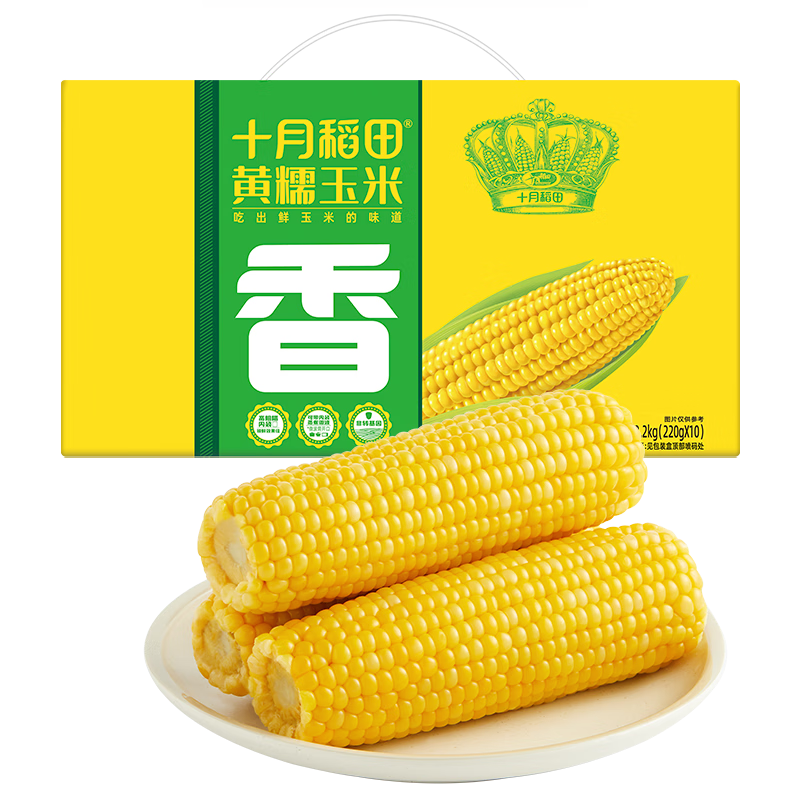 十月稻田 黄糯玉米 10根 4.4斤 东北粘玉米棒 减脂早餐 低脂杂粮 粗粮礼盒