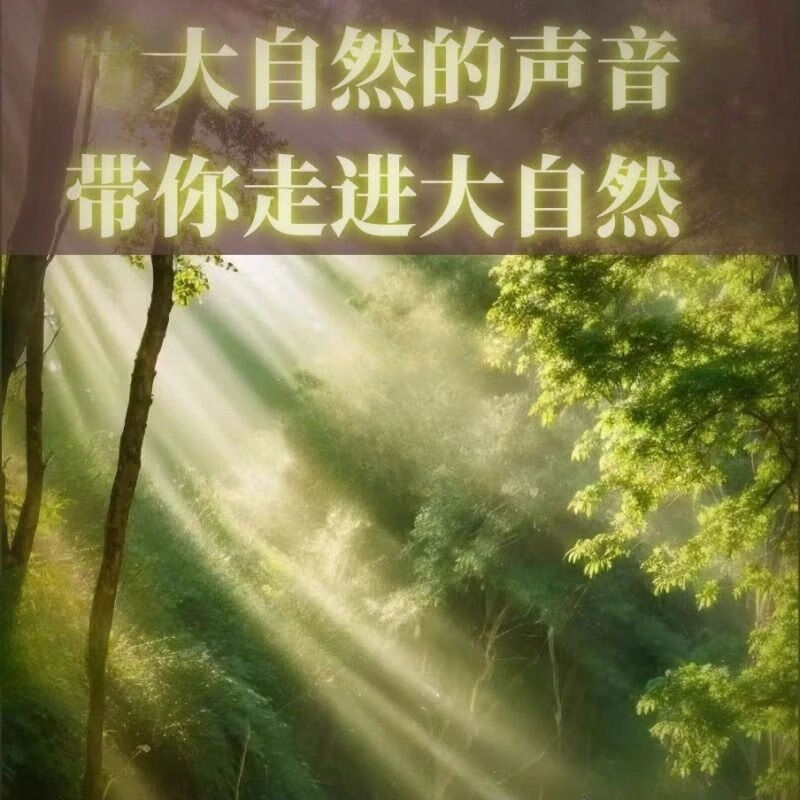 怀音大自然纯音乐白噪音减压疗愈流水声滴水声鸟鸣声乐助眠MP3音 1MB 优盘372首大自然纯音乐mp3