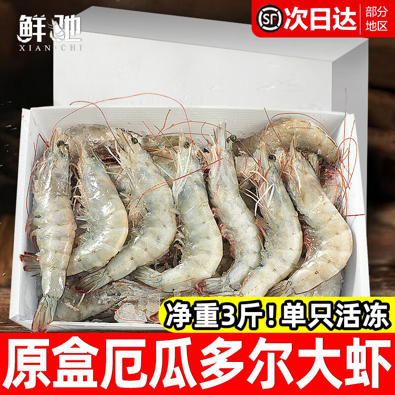 ʳ ϶Ϻ 15-18cm شϺ 3ﾻ 64.8Ԫ(ȯ)