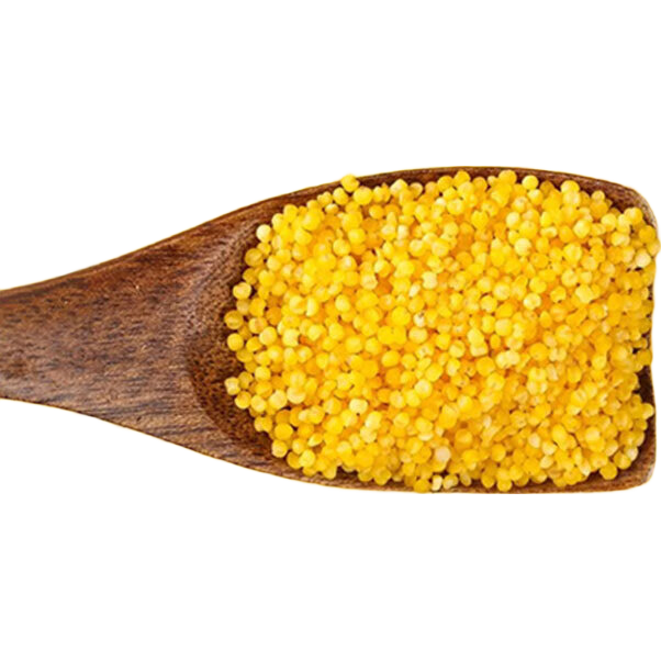 精选山西黄小米 油小米 五谷杂粮山西特产当季新米小米粥 山西小米2斤 实惠装