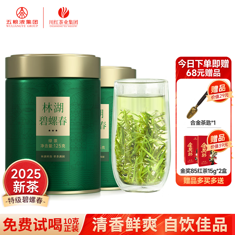 林湖飘雪 绿茶碧螺春特级 明前头采嫩芽春茶四川特产茶叶自己喝 【爆款升级】碧螺春三星 125g*2罐
