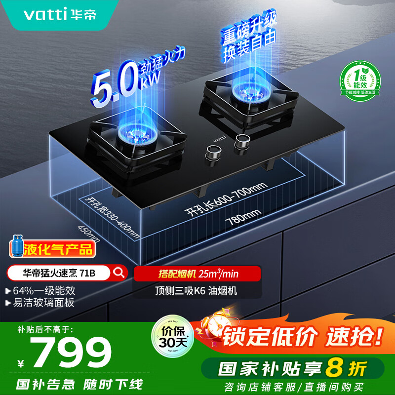 华帝（VATTI）国家补贴20%燃气灶煤气灶台式嵌入式5.0kW猛火熄火保护一级能效双灶台灶具i10071B【液化气商品