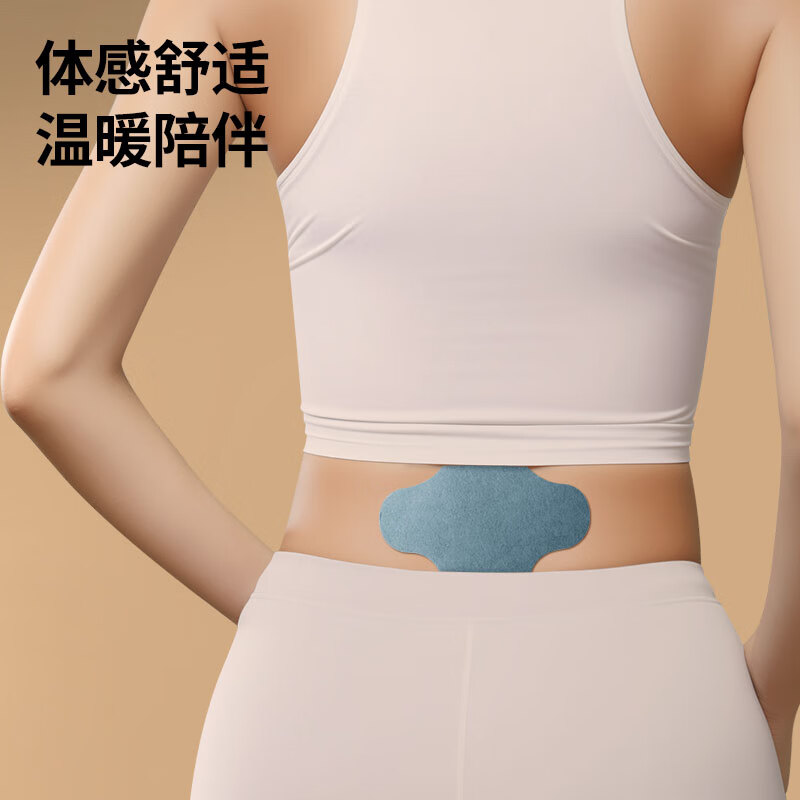 同仁堂TRT since1669始创北京同仁堂 艾草贴12贴/盒 发热热敷艾灸贴 艾草护颈腰椎贴关节 12贴/盒【腰椎贴】