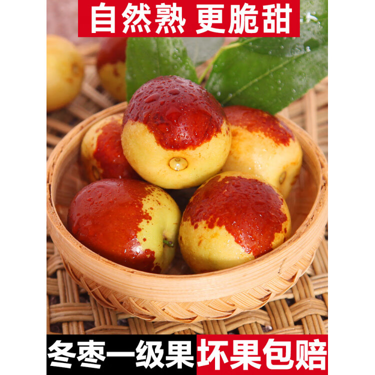 冬枣山东沾化新鲜大枣冰糖脆甜特大5斤孕妇水果 3斤 【A级小果】单果8-12克(试吃尝鲜)