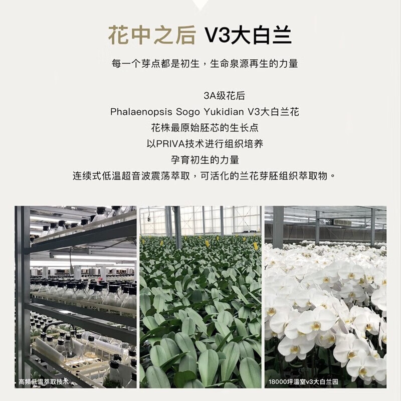 nywow o【旗舰正品】女娲oao奥达士兰花油70ml正品100ml水台湾护肤品 兰花油 新包装100ml