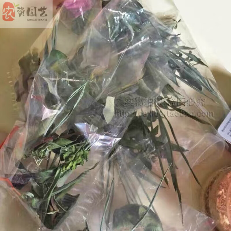 潮汕出花园12花水嫁娶结婚用品风干十二花水成人礼花水 晒干的12色花