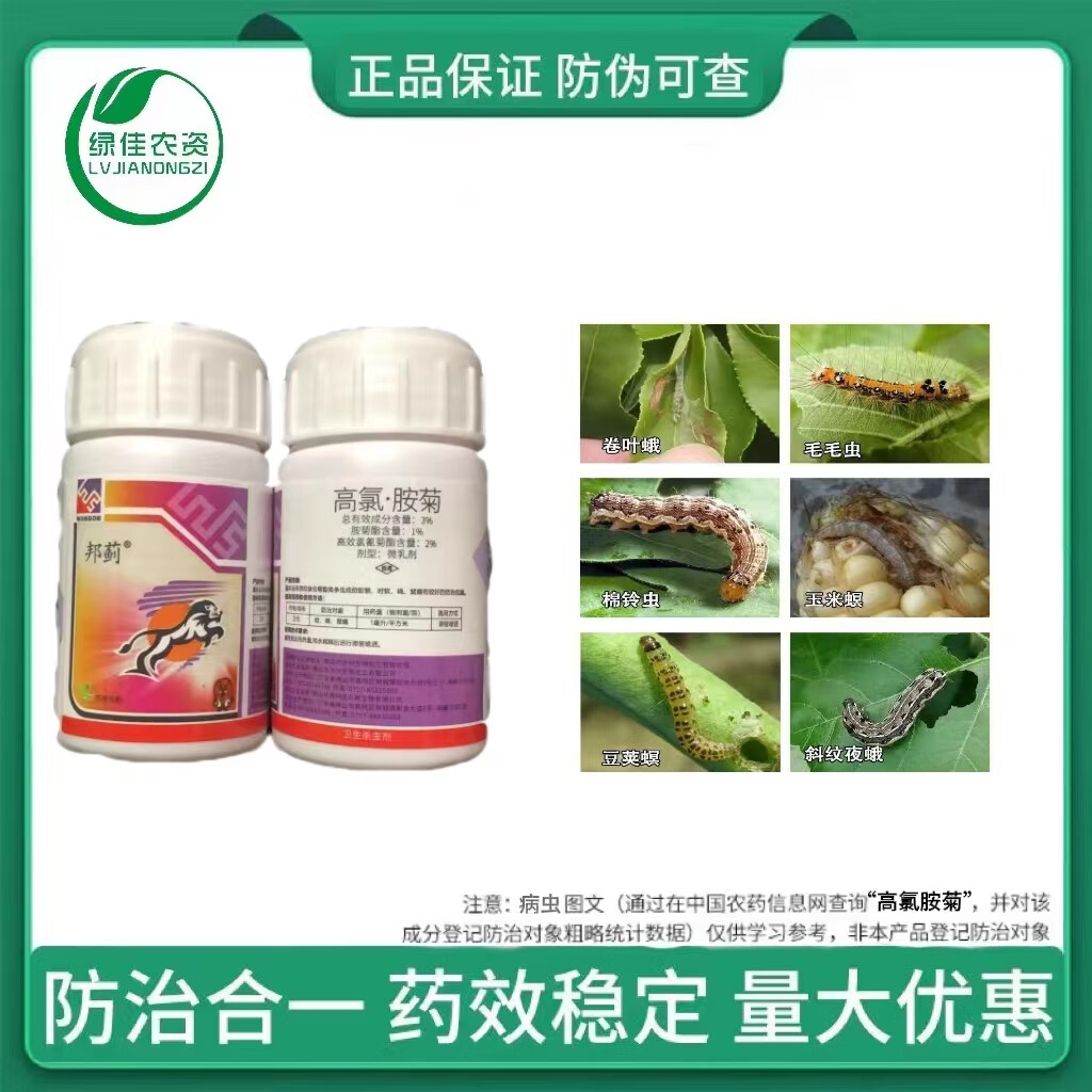 大兴邦蓟3%高氯胺菊防治蚊蝇蓟马花蓟马农药杀虫剂正品蚜虫跳甲 30g*1