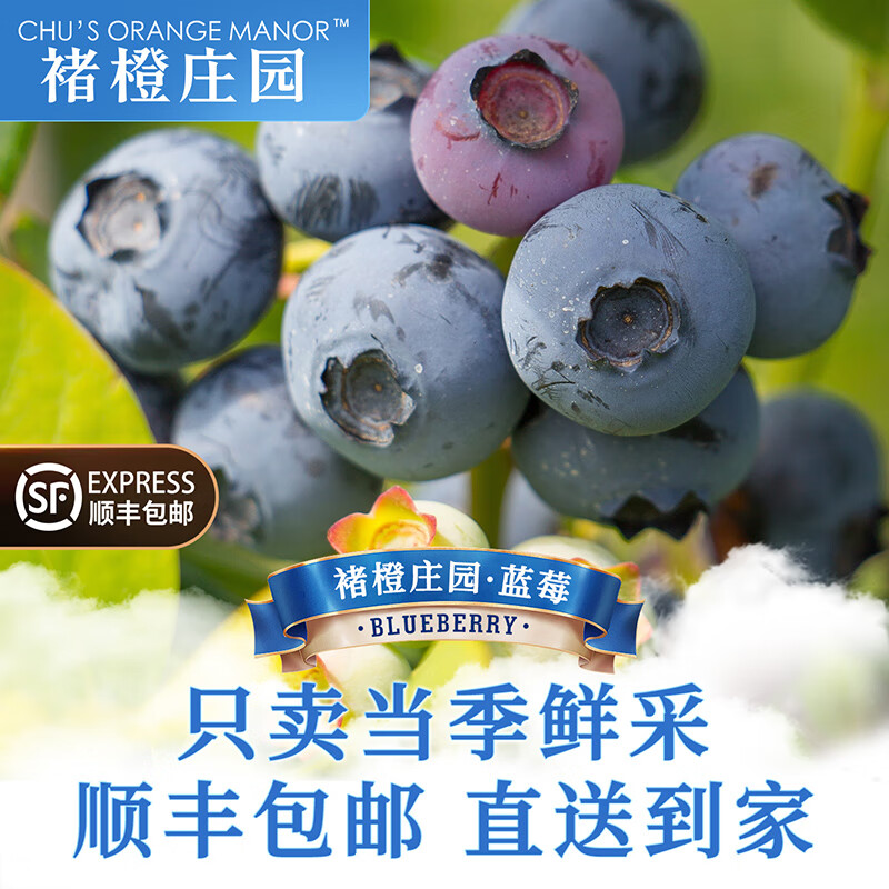 褚橙庄园花香蓝莓大果超大果礼盒装时令生鲜孕妇宝宝辅食新鲜水果礼物送礼 【品质甄选】超大果18mm+5杯礼盒