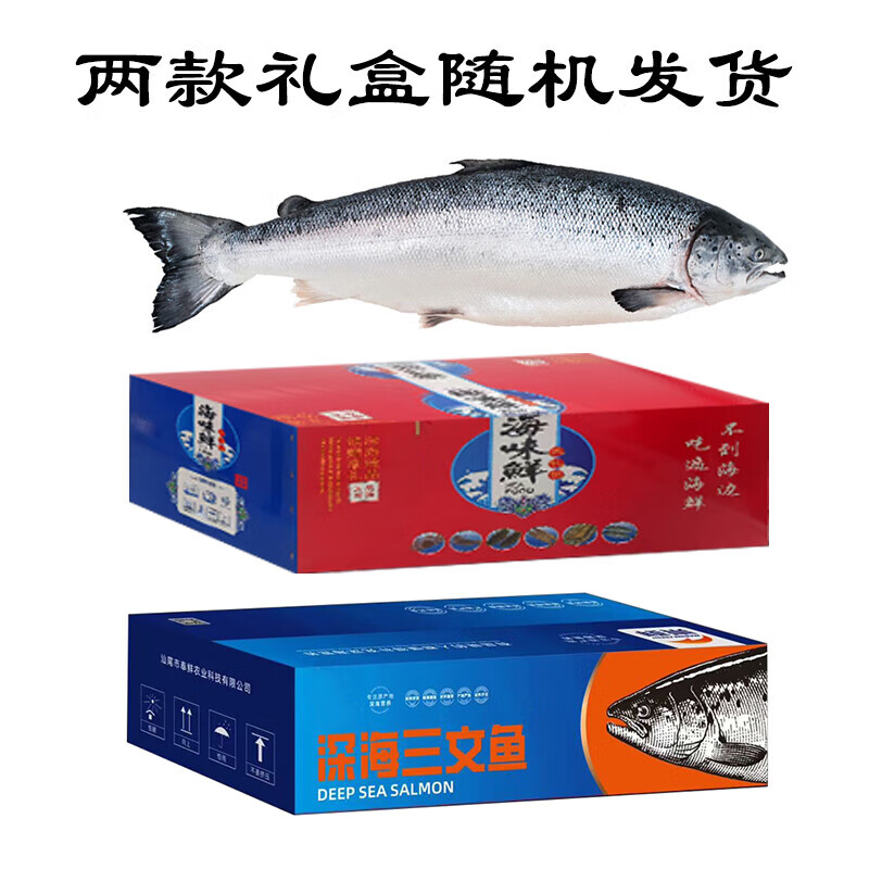 崇鮮挪威進(jìn)口急凍鮭魚(yú)新鮮整條中段刺身即食海鮮送禮盒裝大西洋鮭魚(yú) 12-10斤【整條不切】普通裝 1斤