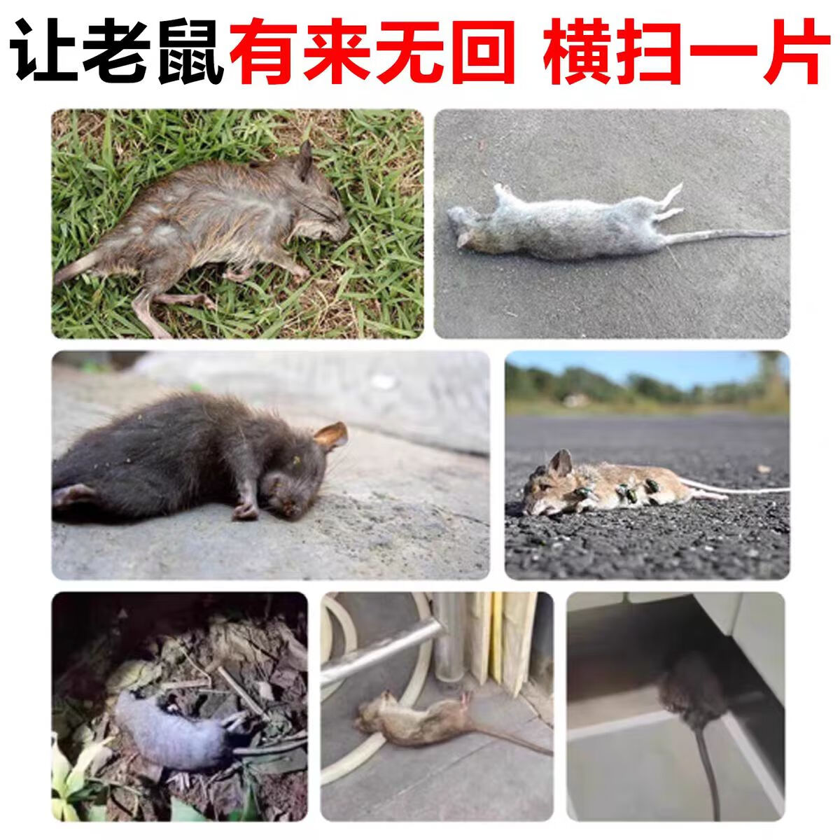 鼠道难灭鼠王老鼠药大小老鼠药三步到一闻就死家用捕鼠颗粒杀鼠剂神器 3袋【灭鼠王】老鼠断肠散