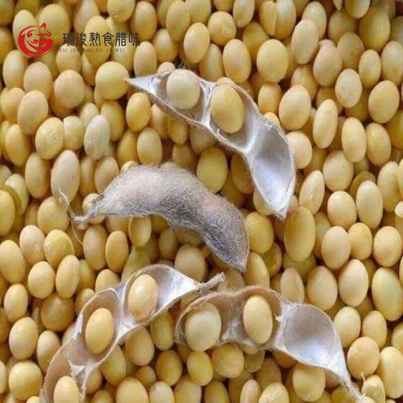 农家自种大粒黄豆正宗做豆腐豆花打豆浆生豆芽新鲜1斤5斤 农家种植【大粒新黄豆】1.5斤