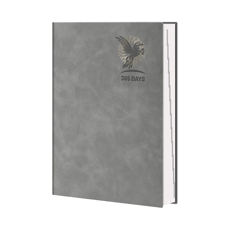 嘉然恒 2026年日程本帶日期筆記本子一天一頁(yè)每日計(jì)劃本時(shí)間管理效率手冊(cè)日歷式記事本可定制 灰色