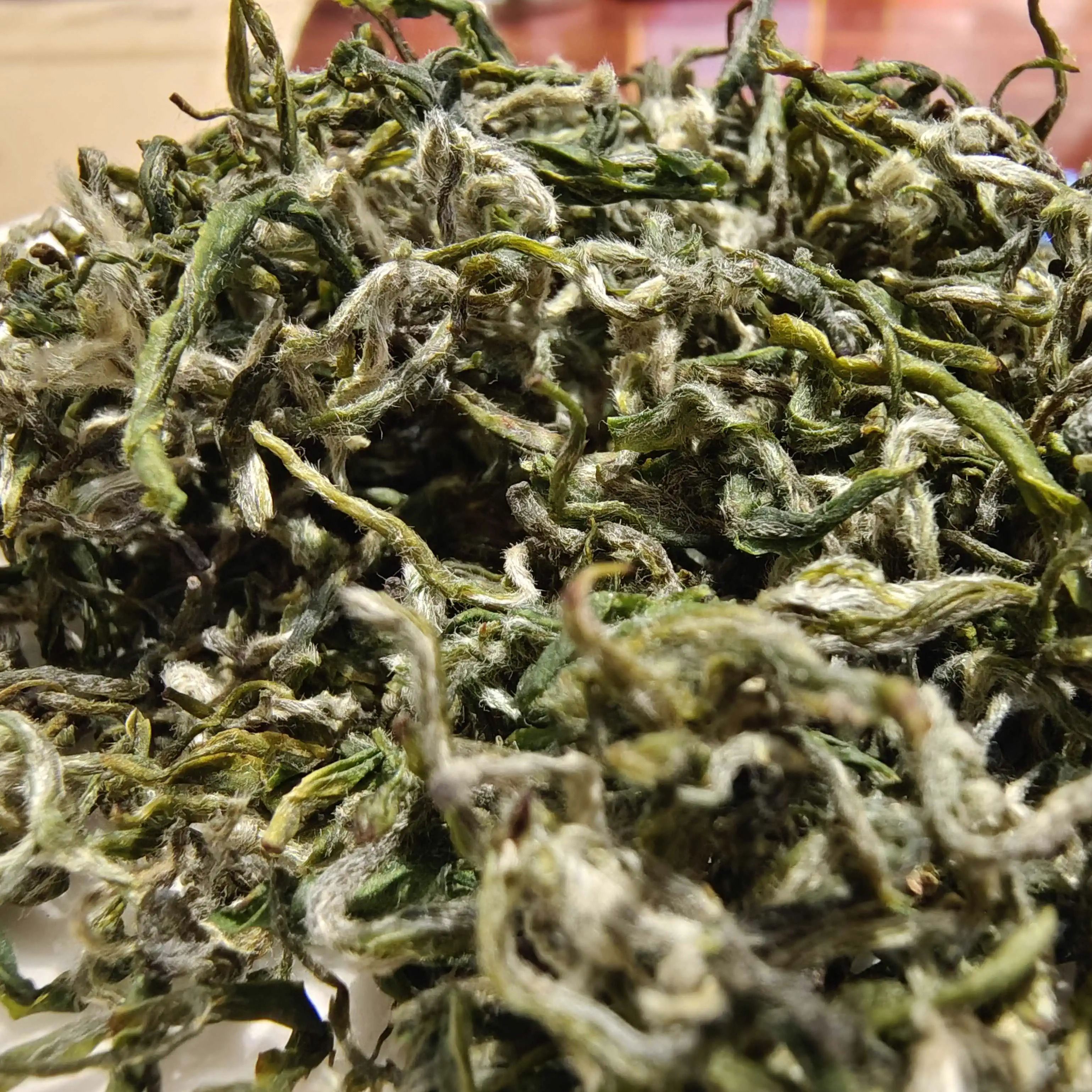 2025年新茶团山清明一芽一叶高香型都匀毛尖散装茶石莹阁 125g 高香型