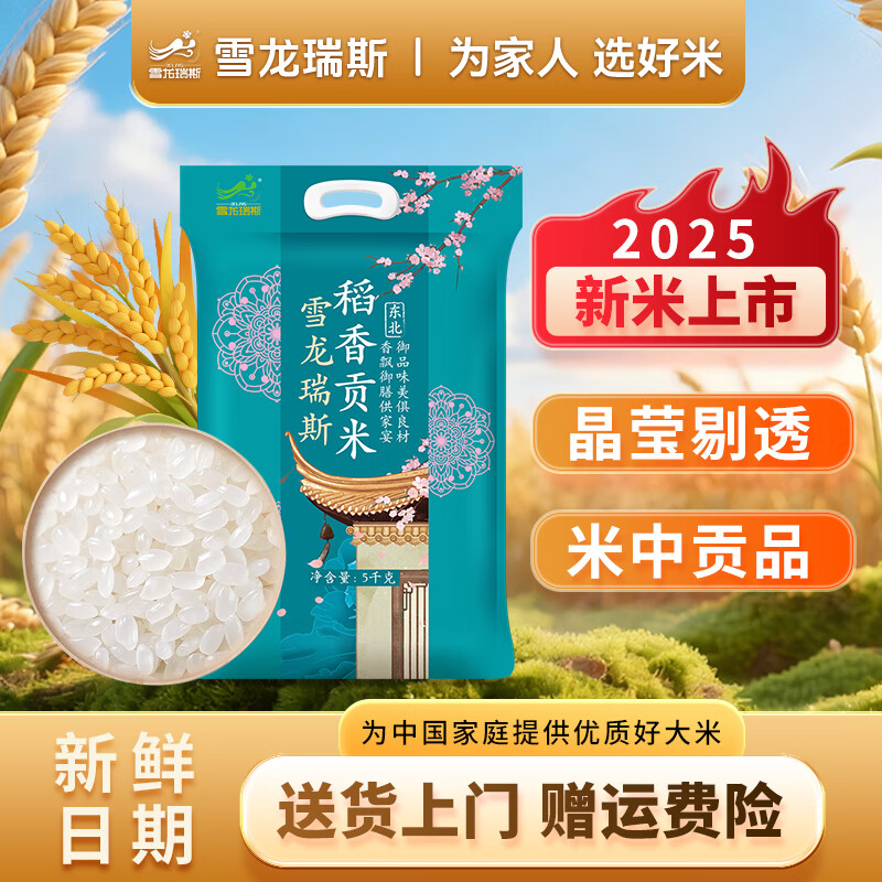 ѩ����˹��2025���ס����㹱�� 10�� ��հ�װ ��������