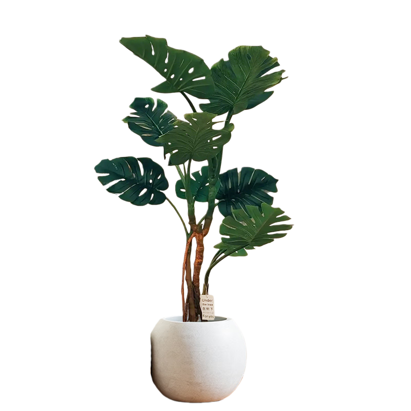 ��������걳����ֲ�������ڿ���������;����������˺�����߼�ֲ�� ����걳��1.2-1.3m+ӡ��Բ���� 148.8Ԫ