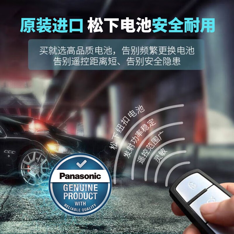 松下比亚迪方程豹5钥匙电池豹5专用豹五豹8豹3汽车遥控器锁匙电磁子 方程豹专用2粒