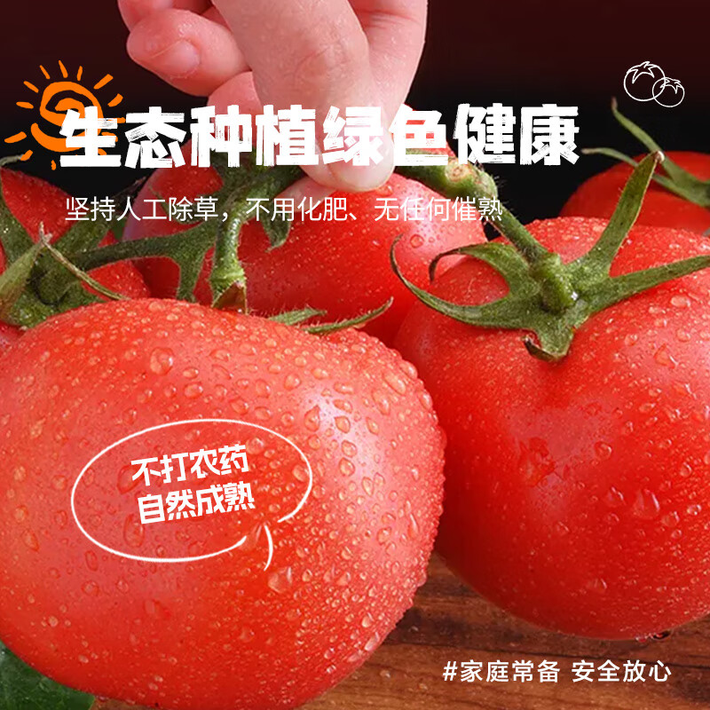 誉福园高原自然熟吉诺比利西红柿生吃富硒新鲜沙瓤番茄生鲜蔬菜酸甜水果 净重4.5斤丨大果(9枚)