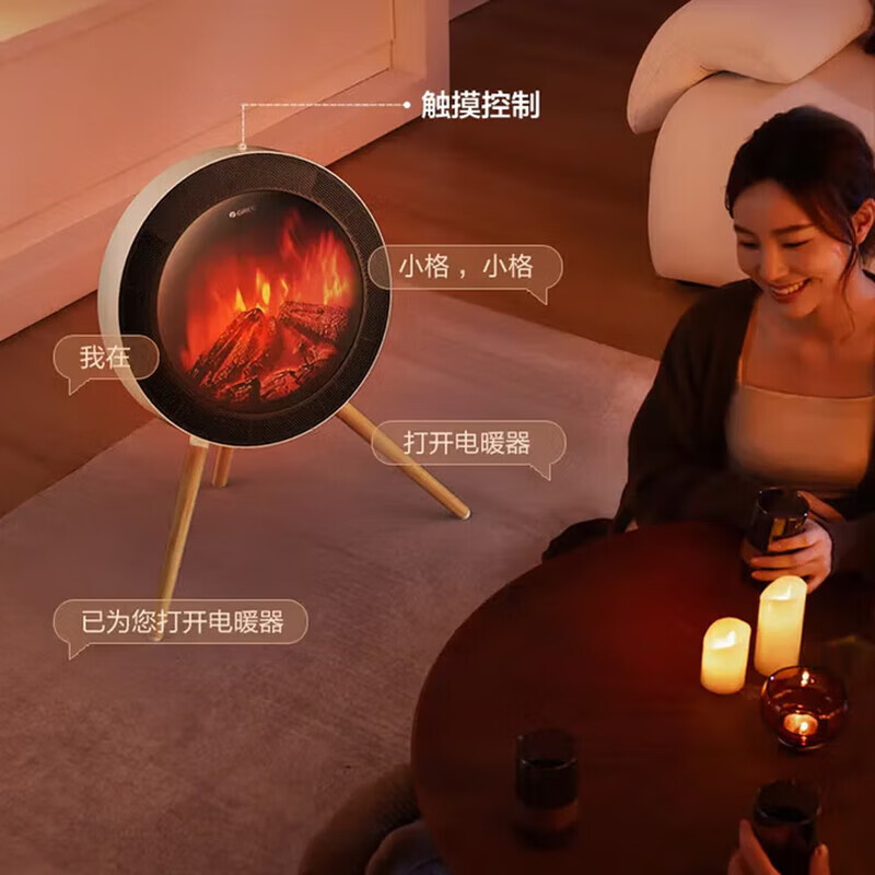格力（GREE）石墨烯取暖器家用北欧时光篝火暖风机仿真火焰速热电暖气ECO节能 NFTD-X6020B-MF【若华金+黑】