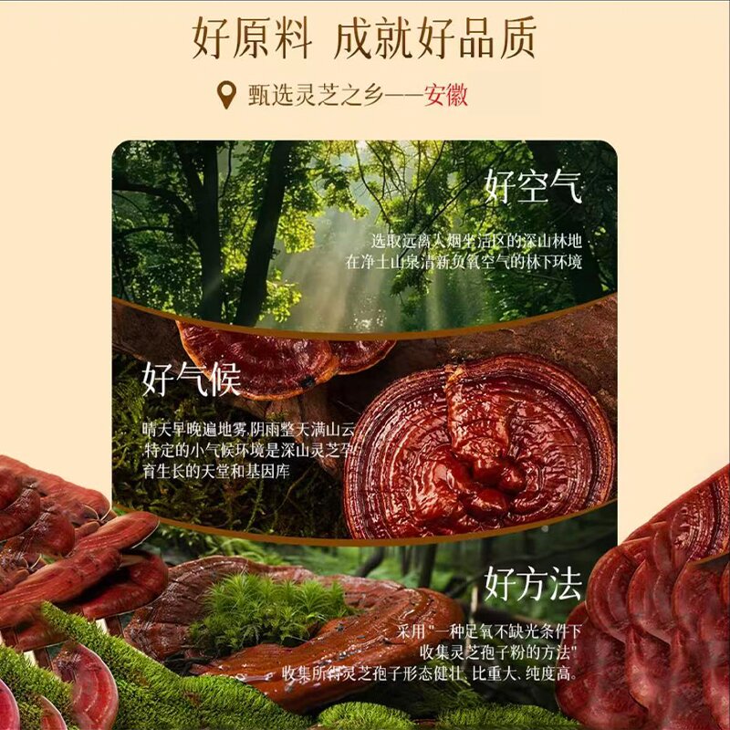 奇正破壁灵芝孢子粉胶囊有助于增强免疫力中老年人营养品送长辈 1瓶装（约15天，适合初次体验）