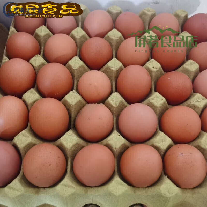 高品质鸡蛋购买皮新鲜大个品牌24小时发货现捡现发月 10枚溜达散养蛋试吃装