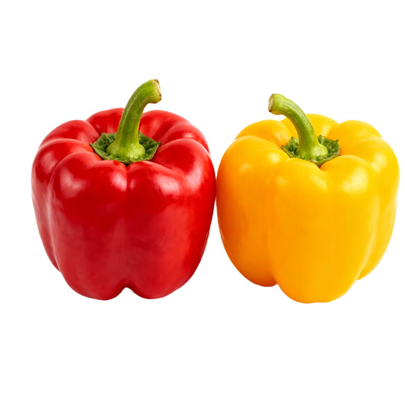 ���ڲ����������� ɽ��˫ɫˮ����ʽ� ������ ����3�� ����150���� Դͷֱ�� 20.9Ԫ