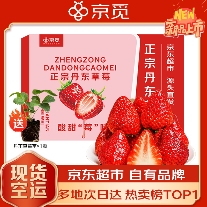 京觅 丹东草莓99红颜奶油水果礼盒生鲜 净重1斤装 单果20-30g源头直发