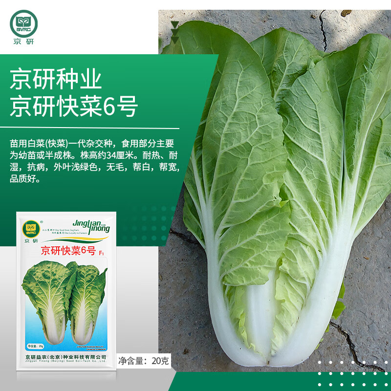 ���д�ײ���������Ҷ�ܲ˽ۺ��Ļ����޲��ﲥ�����ײ�ũ��Ժ�߲����� ���п��6�����ﲥС�ײ� 20��