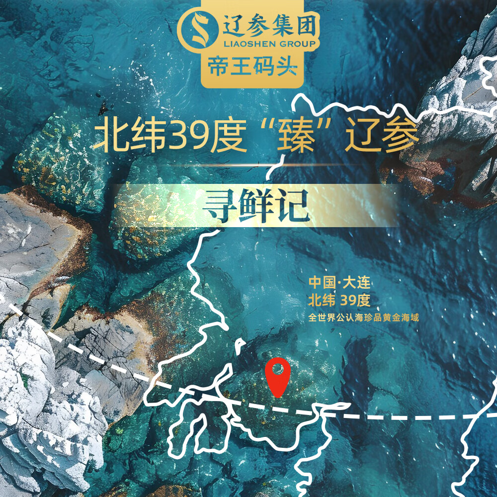 帝王码头全网首发常温原味海参大连刺参单个装辽刺参海参70g开袋即食装 原味海参1袋