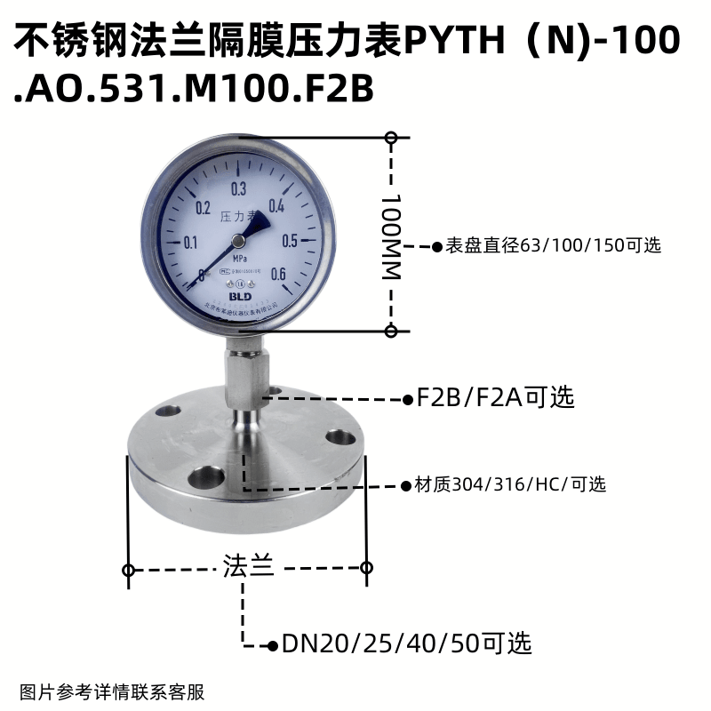 布莱迪bld布莱迪隔膜压力表 dn25 m42*2 pyth