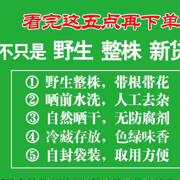 芮哲野生蒲公英茶泡水喝特天然干的级纯整棵株带老根儿中草药材新 100g带根加叶花