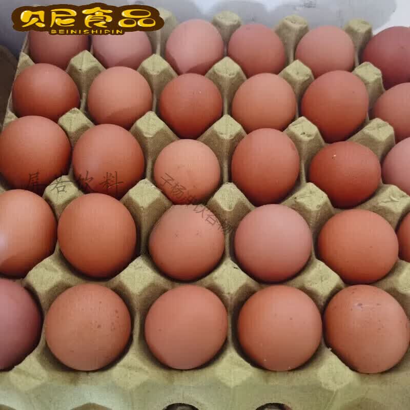 高红皮鸡蛋购买红皮新鲜大个品牌24小时发货现捡现发月 高于 10枚溜达散养蛋试吃装