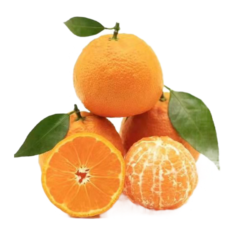 ������ �Ĵ������ҰҸ� 8.5-9����� ����270g+ Դͷֱ������ 204.5Ԫ��5��(��40.9Ԫ/��)