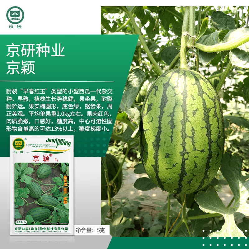 �����������ӳ���С���Ͼ���8424���������ũ��Ժ������������������ ��ӱ 5�� 66.9Ԫ