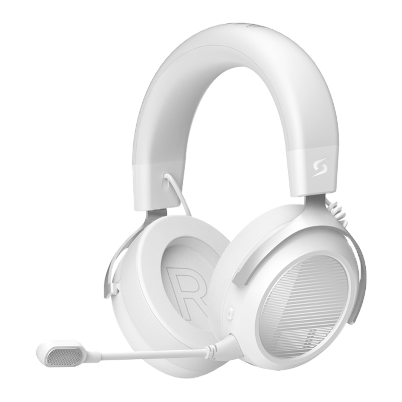 ˫���ࣨA4TECH��Ұ������TR50����/����/���ߵ羺����ͷ��ʽ�������Լ�CS��������η��ԼѪ��������Ϸ ���� 593.01Ԫ(������)