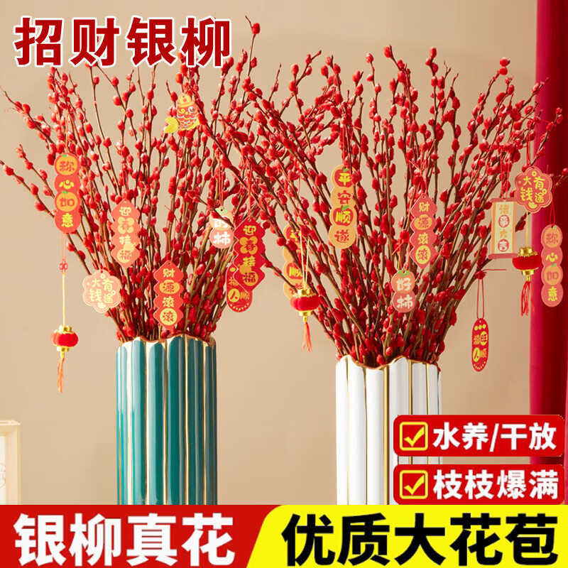 ���� �й��� ��֦�ɻ��ڼ� ˮ����ֲ ����츣Ͱ �в������������� A����Ʒ��85cm����    15.99Ԫ(��8Ԫ/��)��һ��һ