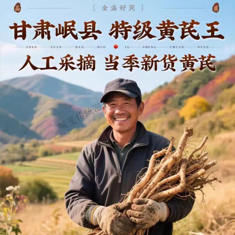 胖东来同款黄芪大片级黄芪甘肃岷县黄芪无硫正品干货中药材泡水 高品质甘肃黄芪片1000克 250g*4罐
