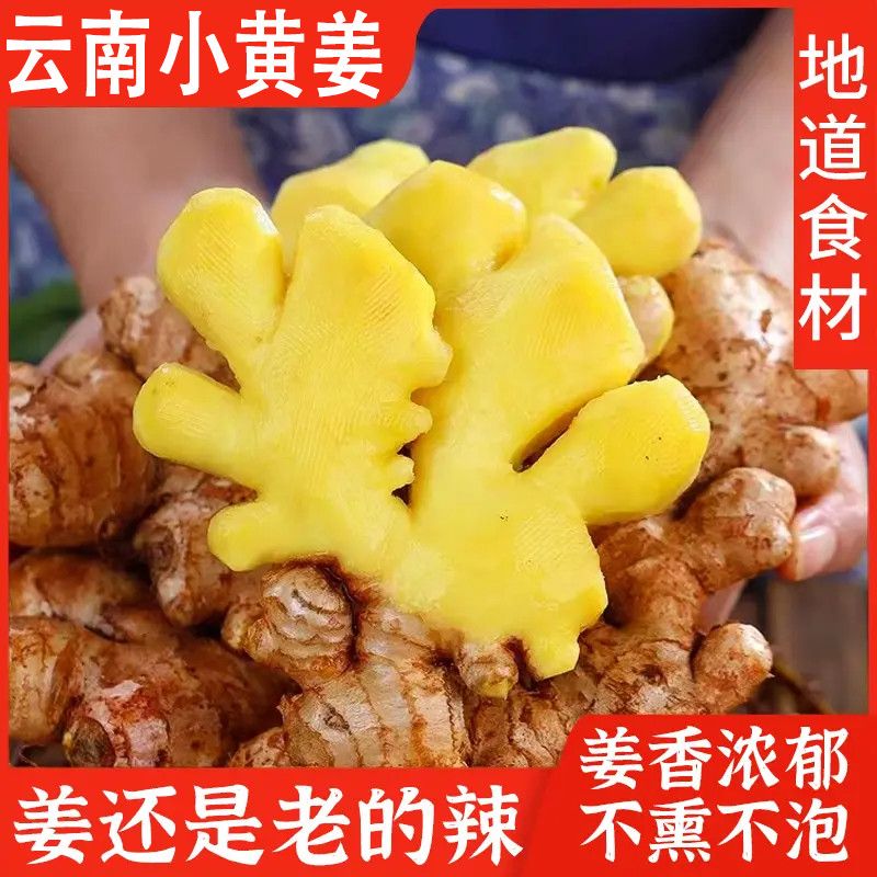 小博农场品质云南小黄姜带泥现挖现发 大姜片辛辣十足生姜新鲜水果蔬菜 3斤新姜