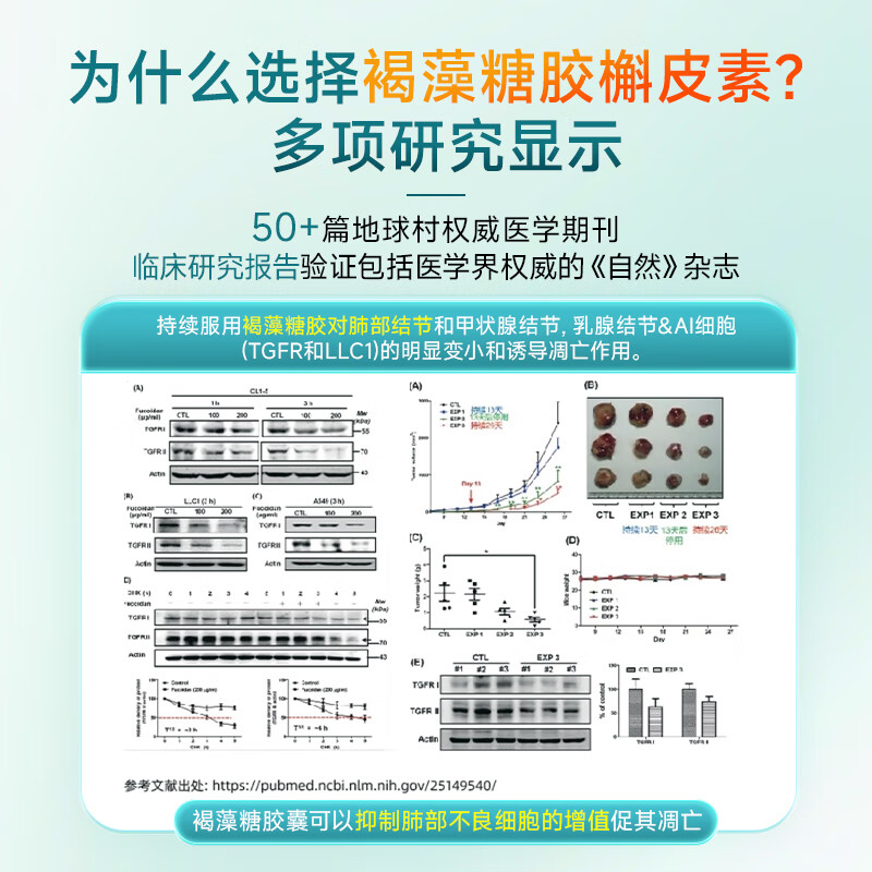 ANICo小绿条槲皮素清肺止咳化痰喘畅快呼吸养肺润肺部散结节澳洲进口 9盒巩固装【长效养护买6送3 适用10-20mm】