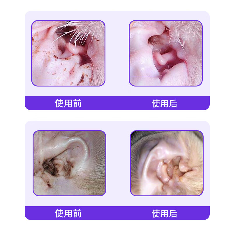 荣佳润宠物次抛滴耳液狗狗猫咪耳螨除螨抑菌洗耳马拉色菌速溶次抛洁耳液 速溶次抛精油滴剂【2盒价】 10支*2盒