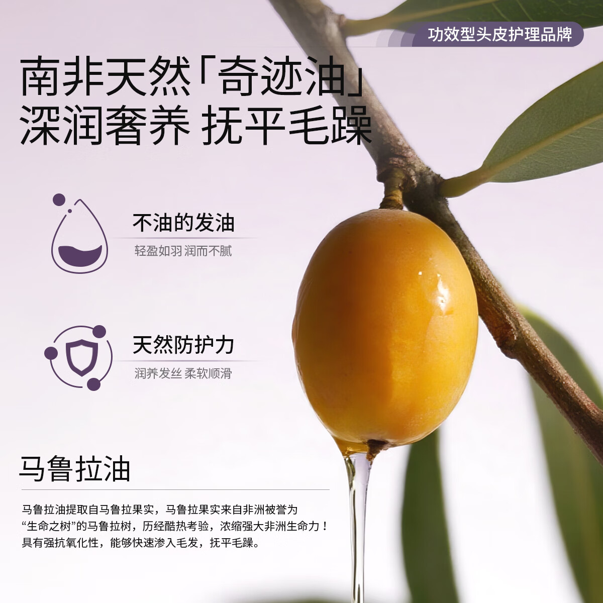 roye护发精油隔热护色防毛躁顺滑亮泽不粘腻烫染护理 【试用领大额券】水润护发精油片装0.7ml*9
