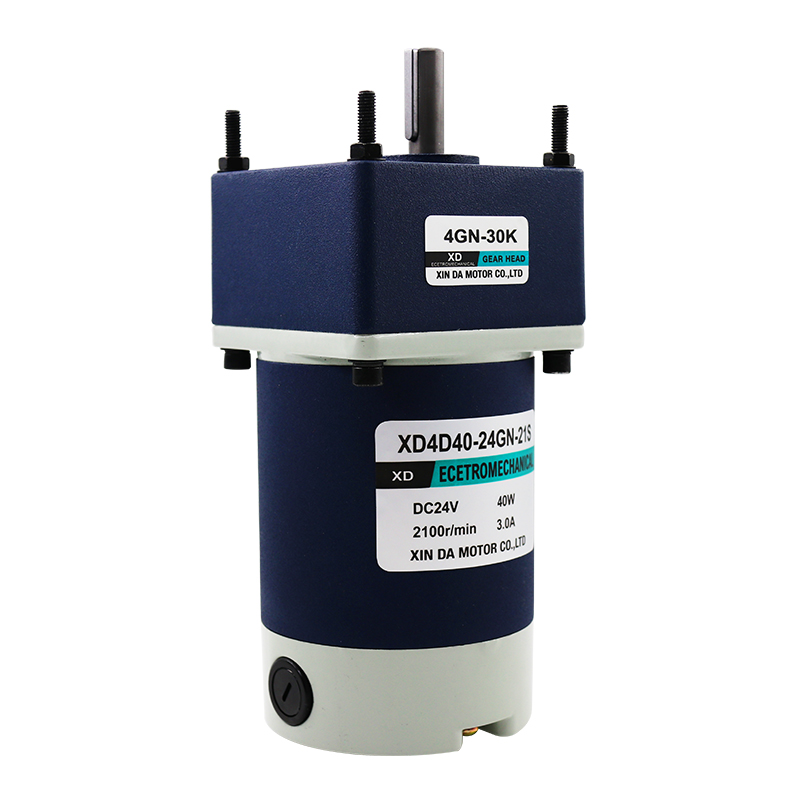 樱笋年光40w直流减速电机24v调速微型12v电动机正反转小型慢速 12v 10