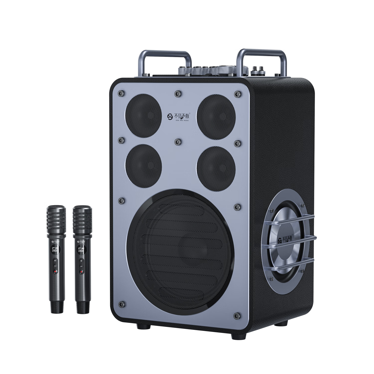 不见不散 SEE ME HERE 69流浪者D8Promax户外音响内置声卡大功率k歌演出蓝牙音箱广场舞家庭ktv高端专业演艺低音炮音响 红色+(原装音响包+U盘+支架)+3年保修