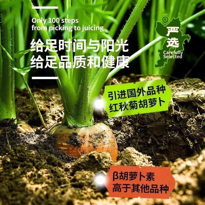 田野说原浆胡萝卜汁248ml*10瓶纯果蔬汁无添加蔬菜汁儿童整箱饮料 原浆胡萝卜汁248ml*10盒