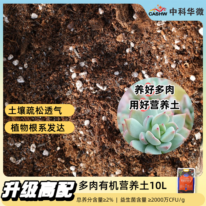 CASHW多肉专用土营养土颗粒土肉肉土壤盆栽种植土幼苗成苗老桩透气土 【大包多肉土】10L