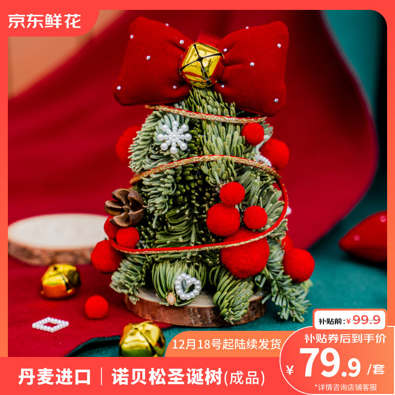 自营京东鲜花 丹麦进口诺贝松圣诞树 拍下79元，12.18开始陆续发货 - 线报酷